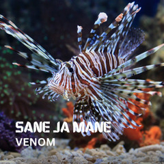 Venom (Original Mix)