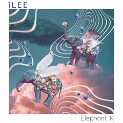 iLEE - ELEPHANT K