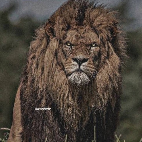👹 Magia Live Set ..  👑Daniel Ordóñez dj .🌬️