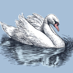 zay kanashi  - swan song [prod. peril] | 08.15.25