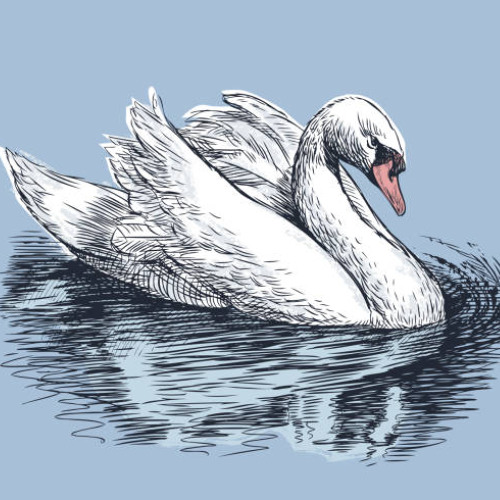 zay kanashi  - swan song [prod. peril] | 08.15.25