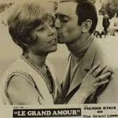 Albin de la Simone - Le grand amour.mp3
