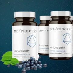 Gluco Berry: A Holistic Strategy for Optimizing Blood Sugar Levels Naturally