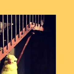 << PNP01 >>  Bill Karnation "Mechanismo"  << EP Preview >>
