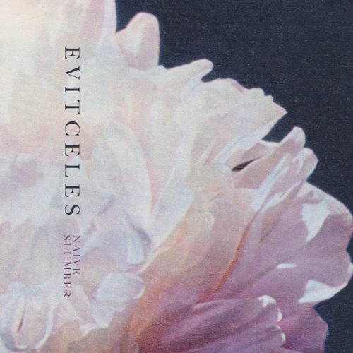 Premiere: Evitceles - Skin Deep [Amek Collective]