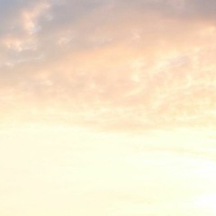 Lofi Wifi Sci Fi No Try blue sky I can fly plz die