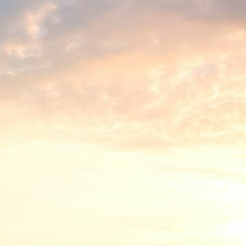 Lofi Wifi Sci Fi No Try blue sky I can fly plz die