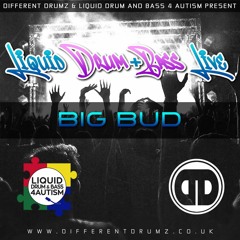 DDVR & LDNB4A Liquid Drum & Bass Mix - Big Bud