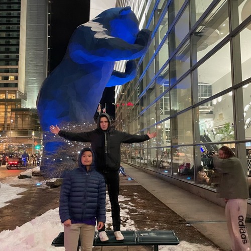 NOT Mamacita GRiZ / Little Sims Fever