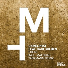 Freak (Matthias Tanzmann Remix)