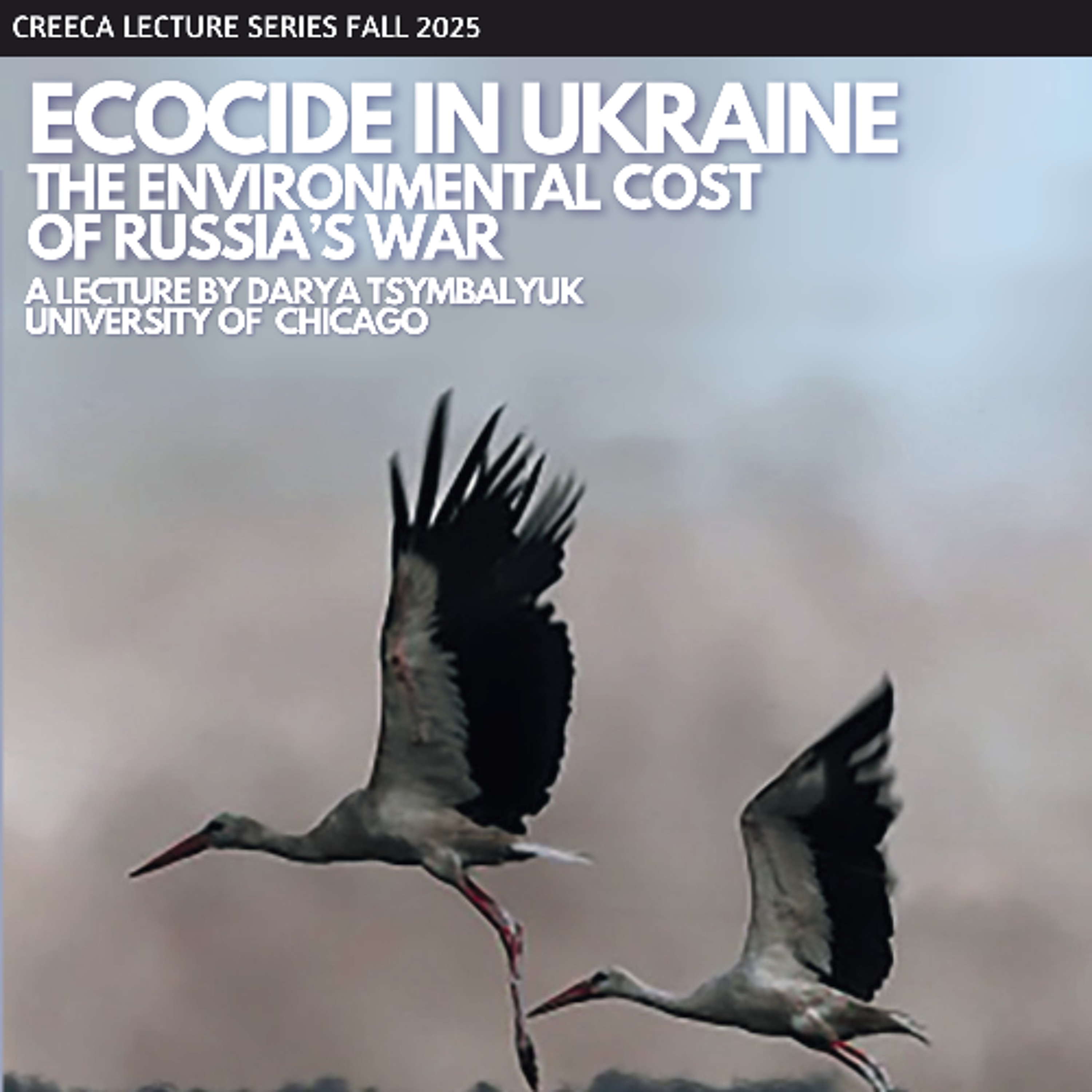 Ecocide in Ukraine: The Environmental Cost of Russia’s War Ecocide in Ukraine: The Environmental Cost of Russia’s War