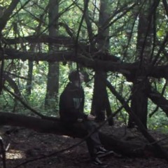 Melancholic thicket