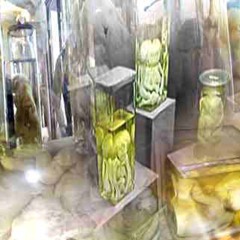 🟡 AULLJAMMiiNjjivAnCHZ&nbEЭ$BPAZilГTHEGOlddENЯMANsp1_caramidablocks