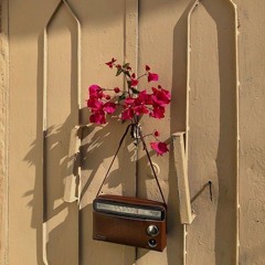 رثاء ابن الخطيب لنفسه (بعدنا وإن جاورتنا البيوتُ)