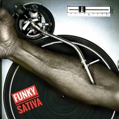 Esto es Funky - Funkysativa ( Ermitaño - Revo - Dp Funk)
