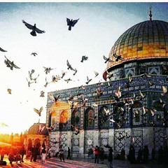 سورة البقرة الحزب الثاني