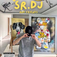 Sr.Dj and Friends-PVT-santagueda 1.0