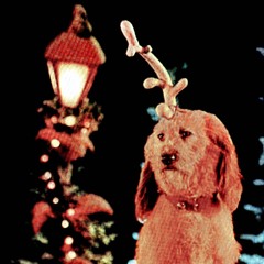 raka x blickohh - snowflakes