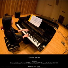 Morton Subotnick - "The Other Piano"