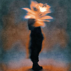 ORANGE - (FTHRASMNTHL X FEBRUZA)#???