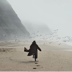 Show me the Way  by Misha and Ezgi