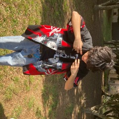 loops from swizzerland