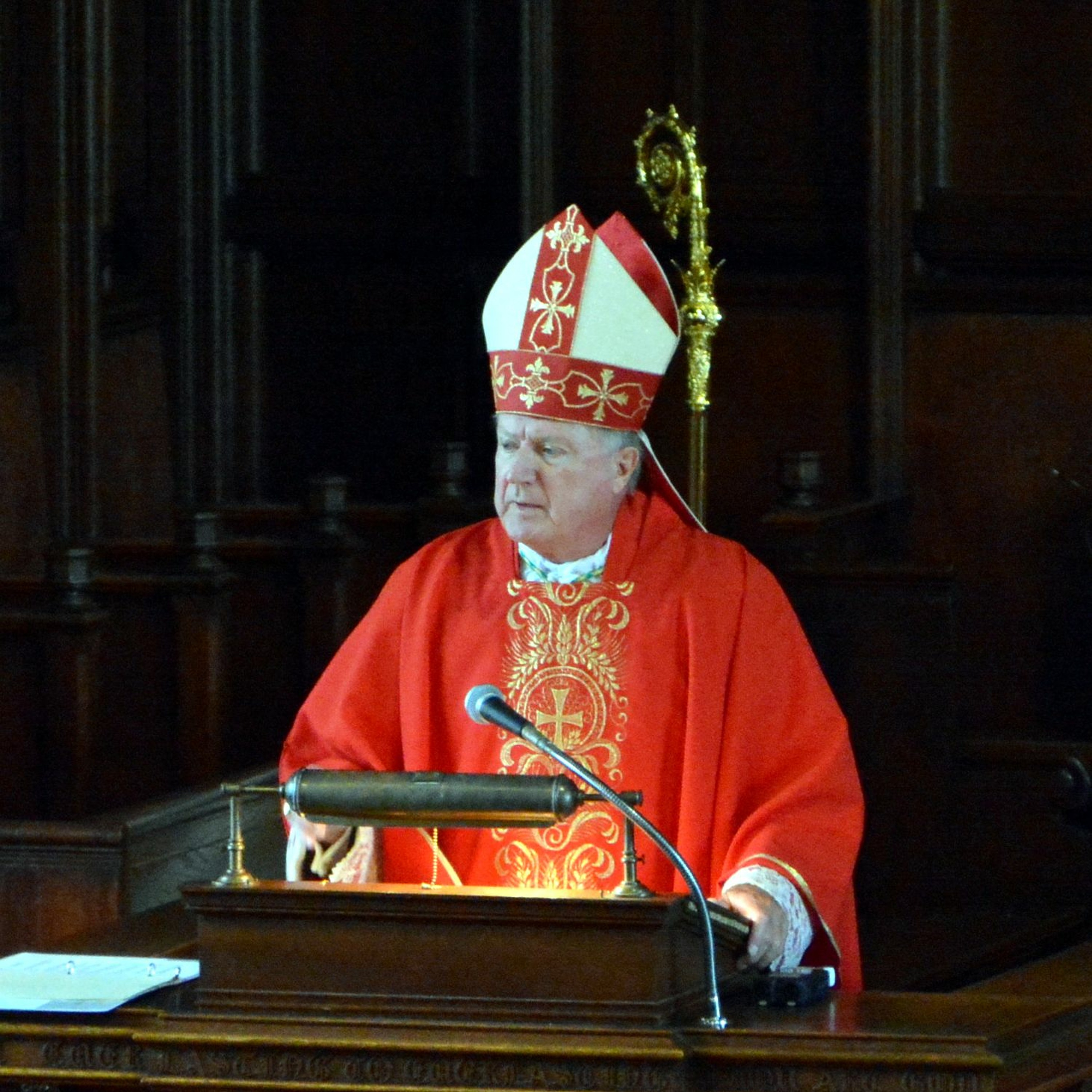 Renew the Face of the Earth: Homily from the 2020 New England Convocation Mass episode artwork
