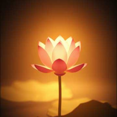 Sacred Yoni