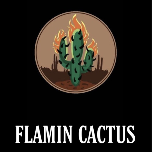 “FLAMIN CACTUS” (Prod. by OLIVER DA GENIUS) TRAVIS SCOTT x JACKBOYS TYPE BEAT