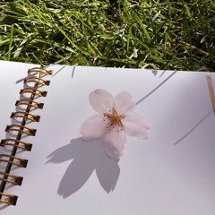 Hidden Blooming Grove