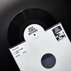 Deep Tempo Records