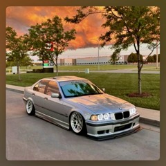 WM🦊#1291🍂🦫🪵🐛🦔🍁🪲🐜🦨🪺🦝