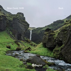 SHRI Brian David -  Back (Original Mix) [Flug Lab]
