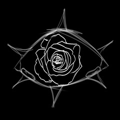 Thorns of Roses
