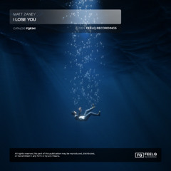 Matt Zaney - I Lose You