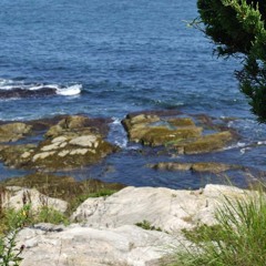 Baisés de Mer 1