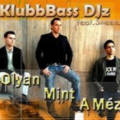 KlubbBass DJz feat. Sheela - Olyan mint a méz (Sonitus vs. Pink Zone! Radio Edit)