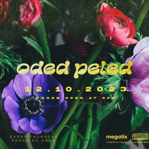 Oded Peled - Resonanz - Ecstatic Dance - Ubud - October 2023