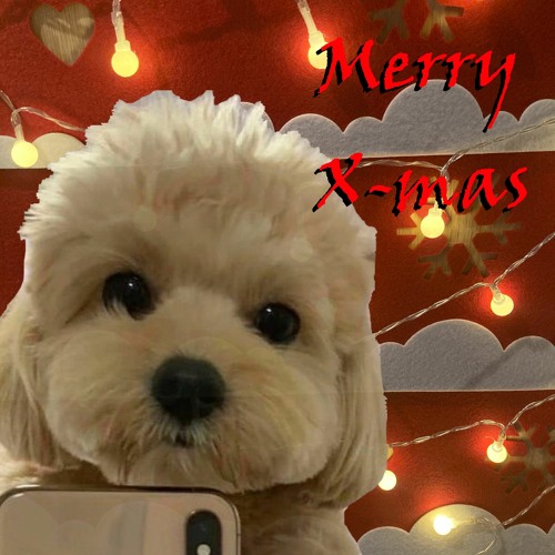 X-Mas Back  @_@