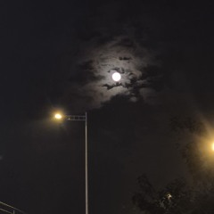 _Born for the Sky_.mp3