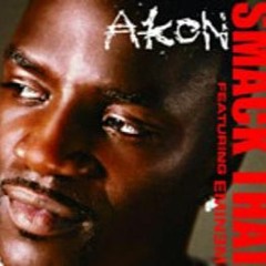 Akon - smack that ft. Eminem (prod.eminem)