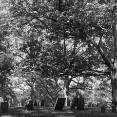 Bleak Cathedral - Our Death (Demo Instrumental)