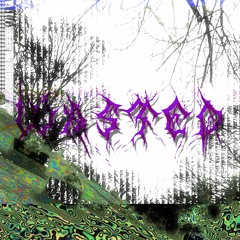 Wasted w/ FRØSTBITE (prod. by too high to die)