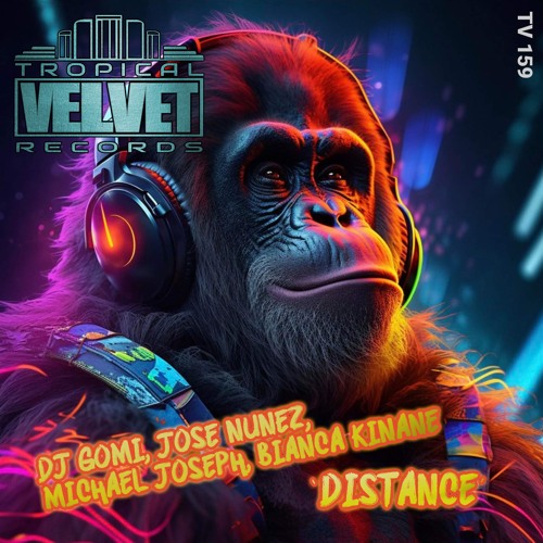 BIANCAN KINANE, DJ GOMI, JOSE NUNEZ, MICHAEL JOSEPH - DISTANCE (CLIP)