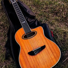 Selftalk with my Guitar