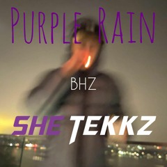 SheTekkz - Purple Rain BHZ Tekk Remix