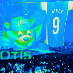 MIST ft Nines UK House Remix