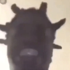 pop en x ft. fssbbless