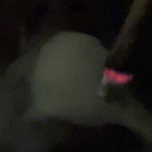 zoom prod tmdiablo