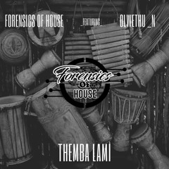 Themba Lami (feat. Olwethu_N)